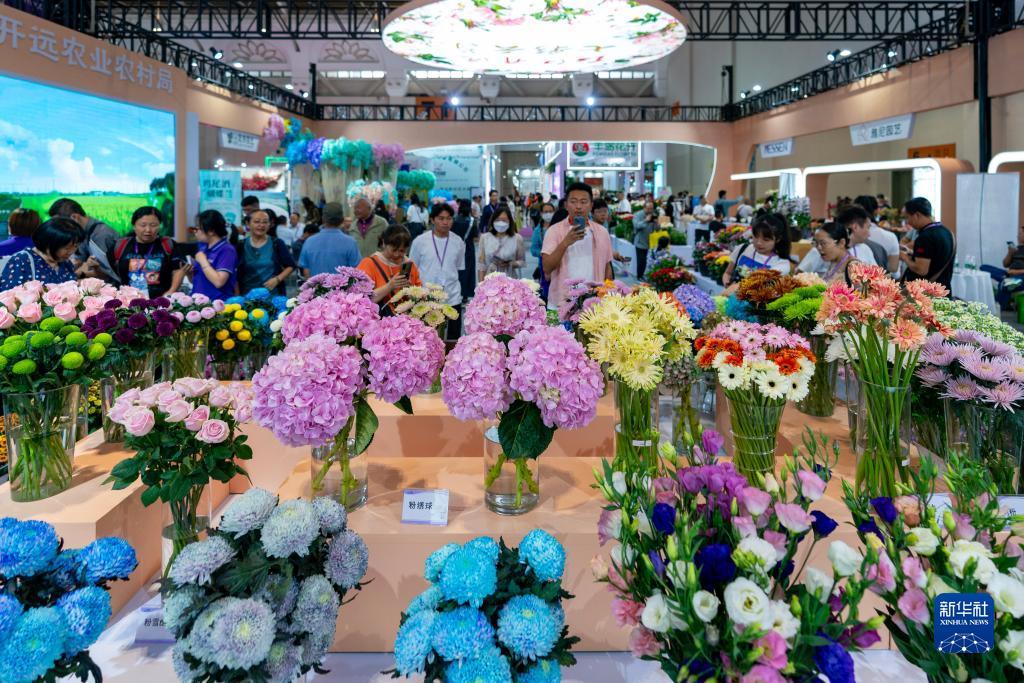 必赢集卡活动交流帖